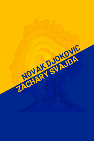 N. Djokovic vs. Z. Svajda